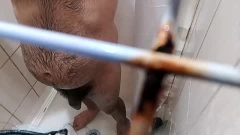 bxpapi69 online show from 11-10-25, 04:22