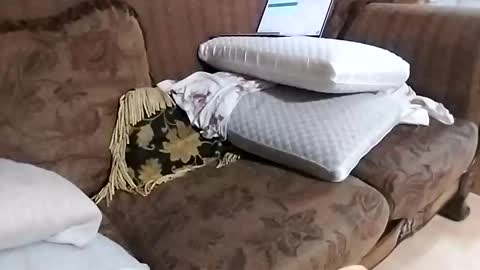 bxpapi69 online show from 11-22-25, 11:59