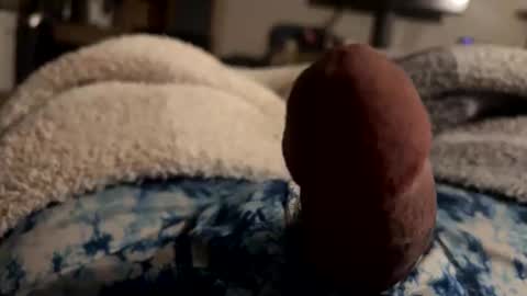 byrdbean online show from 01-17-26, 07:46