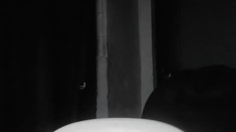 cafinfi1 online show from 02-18-26, 01:45