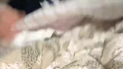 Marco online show from 12-09-24, 08:54