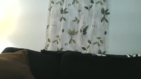 Snapshot of camaro383ci1994 chatting on 01-21-25, 08:19 Chillaxin lets talk online show from 01-21-25, 08:19