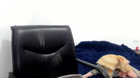Cami online show from 06-12-26, 04:22