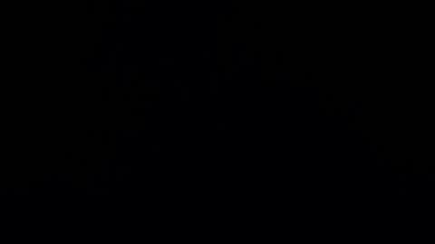 camilio96 online show from 12-27-24, 05:42