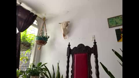 Snapshot of camille_delrey chatting on 11-08-25, 02:39 Camille online show from 11-08-25, 02:39