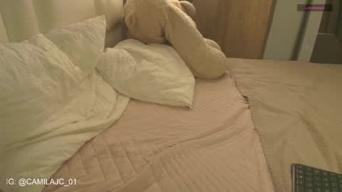 Laura Camila online show from 01-18-26, 01:26