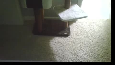 Snapshot of cammyman6900 chatting on 09-21-25, 04:47 cammyman6900 online show from 09-21-25, 04:47