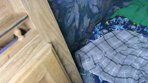 Snapshot of cancer7777 chatting on 02-13-25, 02:56 7777 online show from 02-13-25, 02:56