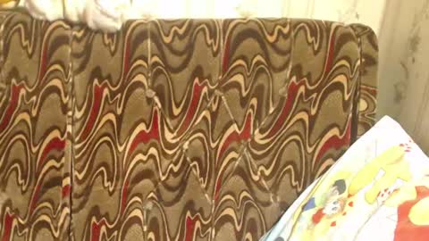 say meow and send tip  online show from 03-02-25, 01:05