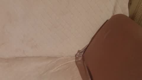 say meow and send tip  online show from 10-25-25, 09:42