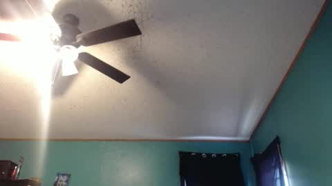 Snapshot of candyshop2024 chatting on 12-17-25, 12:55 candyshop2024 online show from 12-17-25, 12:55