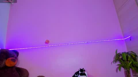 Snapshot of canndy88htx chatting on 11-02-25, 02:36 Onika instagram canndy888 online show from 11-02-25, 02:36