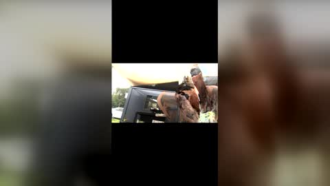 Snapshot of captain_deanos chatting on 02-13-26, 10:06 captain_deanos online show from 02-13-26, 10:06