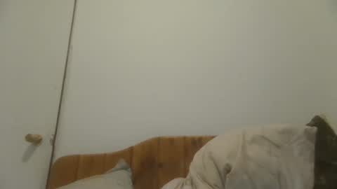 caravibugue online show from 12-07-24, 01:03