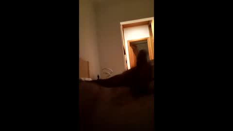 carlos1234500 online show from 01-16-26, 07:12