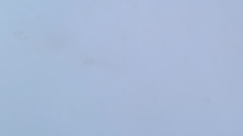 Snapshot of caro_loving chatting on 02-16-26, 03:24 caro online show from 02-16-26, 03:24