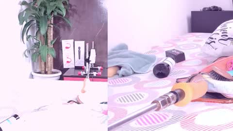 Carol online show from 03-12-26, 11:05