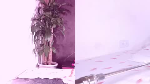 Carol online show from 04-07-26, 11:21