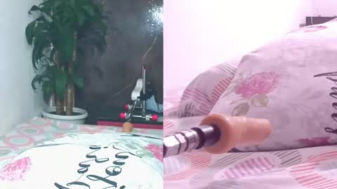 Carol online show from 04-11-26, 11:03