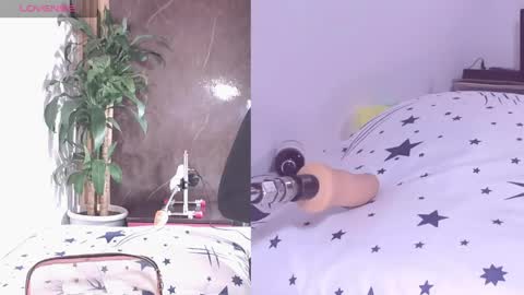 Carol online show from 04-21-26, 11:38