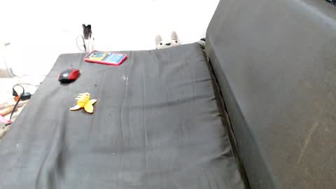 Snapshot of caroljeager chatting on 12-07-24, 12:41 carol my sign is capricorn online show from 12-07-24, 12:41