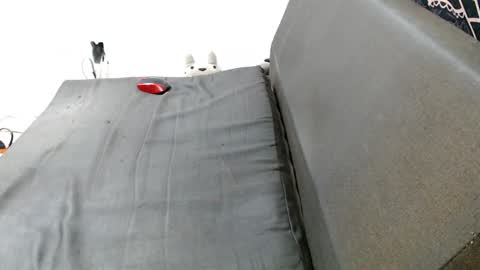 carol my sign is capricorn online show from 12-29-24, 01:45