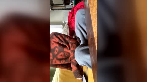 carrrigggg online show from 03-03-26, 09:15