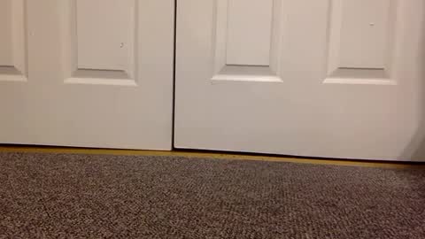 cash13bychanel online show from 01-23-25, 05:56