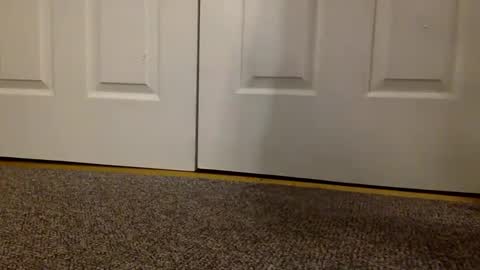 cash13bychanel online show from 03-06-25, 09:14