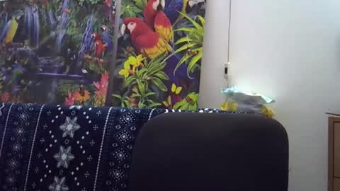 Snapshot of cassandra191 chatting on 12-05-25, 01:42 Cassandra online show from 12-05-25, 01:42