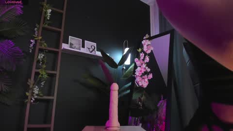 assie online show from 02-02-25, 02:59