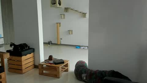 Cassandra online show from 03-22-26, 11:57