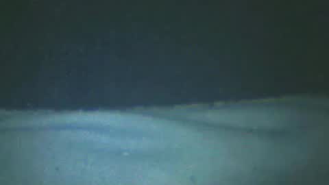 castells online show from 02-20-25, 05:18