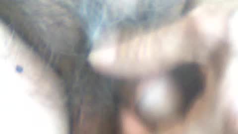 castells online show from 06-14-26, 04:31