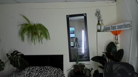 Cataina Lince online show from 12-22-24, 11:09