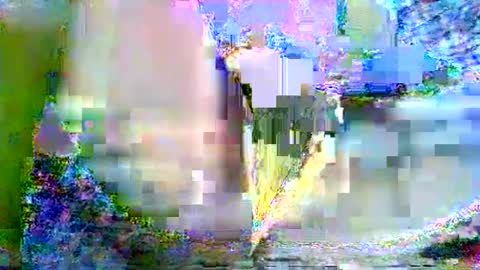 CathyXLisa online show from 02-22-25, 08:18