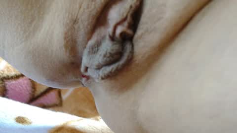 ANNYANNY online show from 03-04-26, 03:40