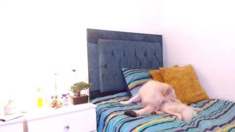 Cedrixx10 online show from 12-16-25, 09:31