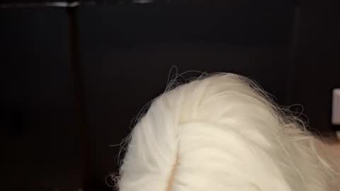 Snapshot of celeste_madson chatting on 02-14-25, 10:49 Celeste Madson online show from 02-14-25, 10:49