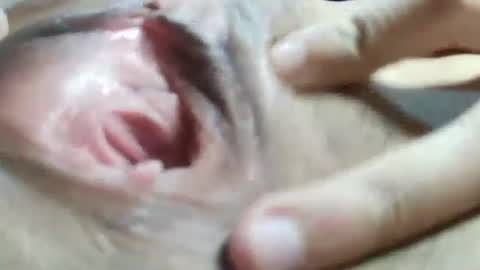 Snapshot of celestestephan chatting on 01-31-25, 06:24 celestestephan online show from 01-31-25, 06:24