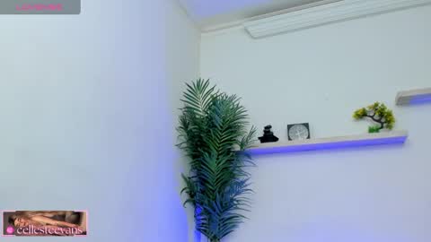 Celeste  online show from 02-11-25, 03:18