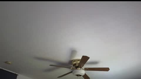 Marie online show from 04-07-26, 05:35