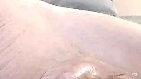 Snapshot of cfnmkinky28 chatting on 12-17-24, 09:07 cfnmkinky28 online show from 12-17-24, 09:07