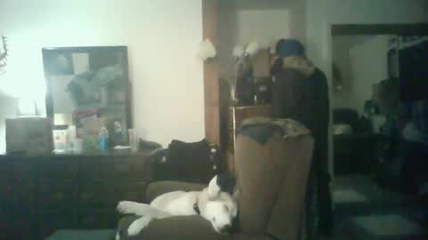 Snapshot of chad_the_blatalian chatting on 10-29-25, 05:42 GigaChad online show from 10-29-25, 05:42