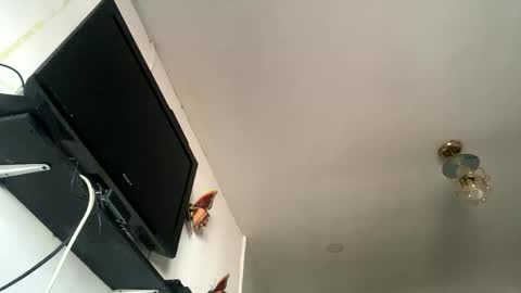 chanelfancy online show from 04-26-26, 01:09