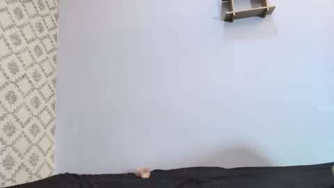 Snapshot of chantal_taylor_ chatting on 03-10-25, 03:09 Raquel online show from 03-10-25, 03:09