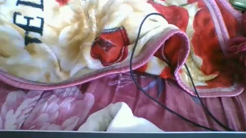 Snapshot of chantale483461 chatting on 05-10-26, 05:18 chantale483461 online show from 05-10-26, 05:18