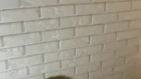 charlottebunnyuwu online show from 02-12-25, 02:35