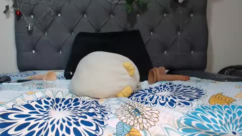 Snapshot of charlottee07 chatting on 01-30-25, 10:40 charlottee07 online show from 01-30-25, 10:40