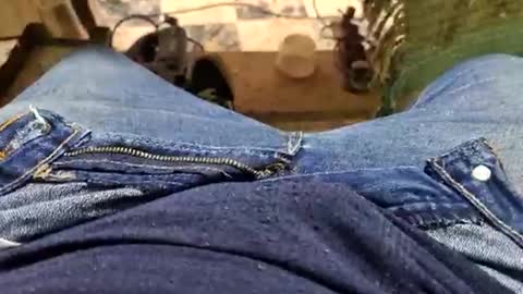 Parcero online show from 09-14-25, 01:32